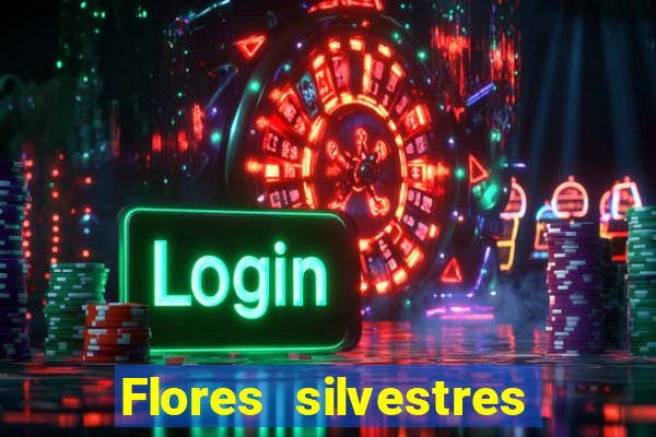 Flores silvestres brasileiras 25